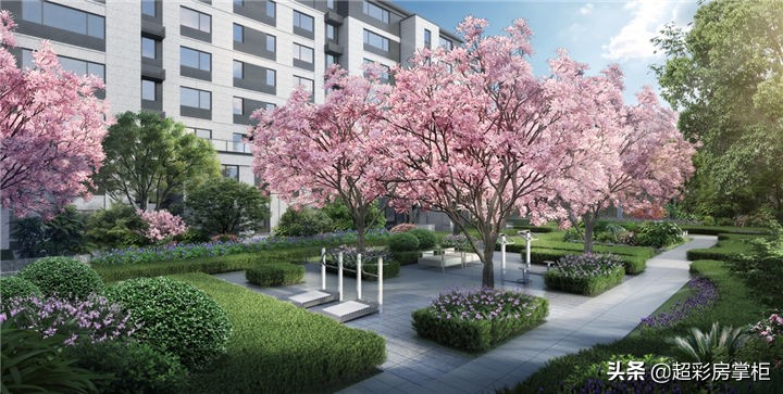 2021年超彩房掌柜郑州探盘第16期