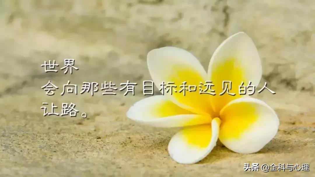 温暖的早安心语一句话正能量短句,早安心灵鸡汤励志正能量短句