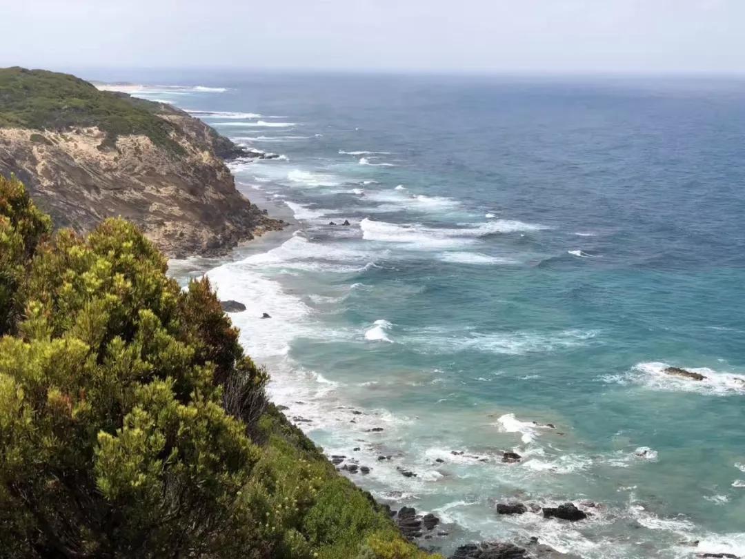 永居能享受福利吗,永居可以享受免签吗