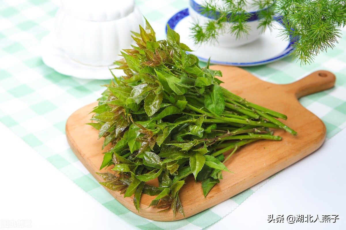 常见野菜的种类和图片大全 (各种野菜大全带图片)