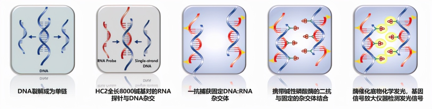 2价hpv疫苗和2价hpv吸附疫苗区别,hpv疫苗深度解析