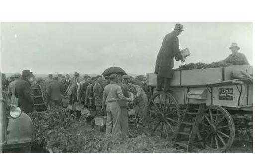 乌日娜有话好好说,乌日娜说蒙语