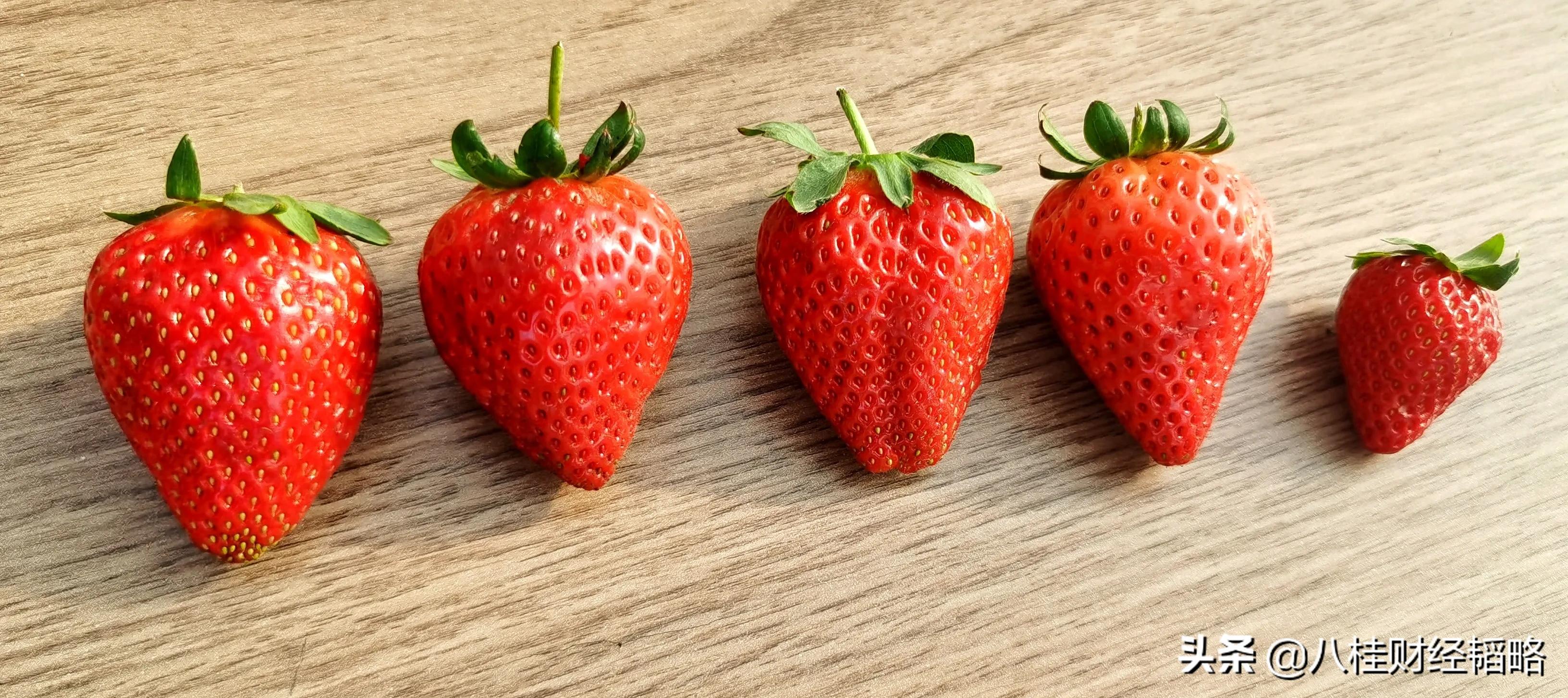 南宁附近草莓园在什么地方,南宁良庆区草莓园