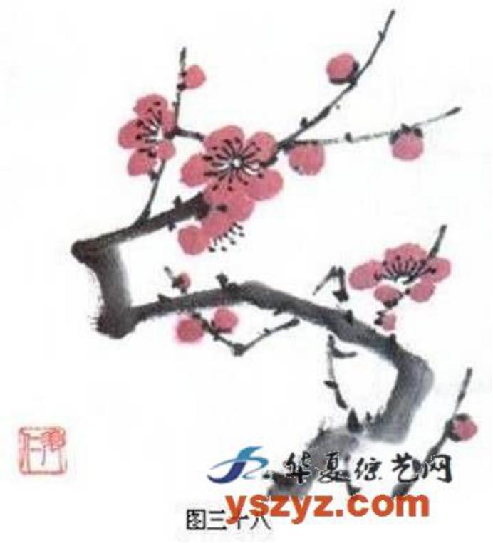 梅花画法简笔画,梅花画法的视频