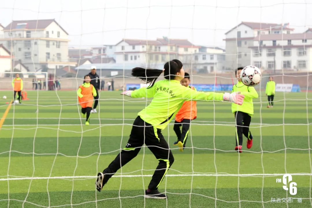 草根教练个人资料,草根教练视频全集