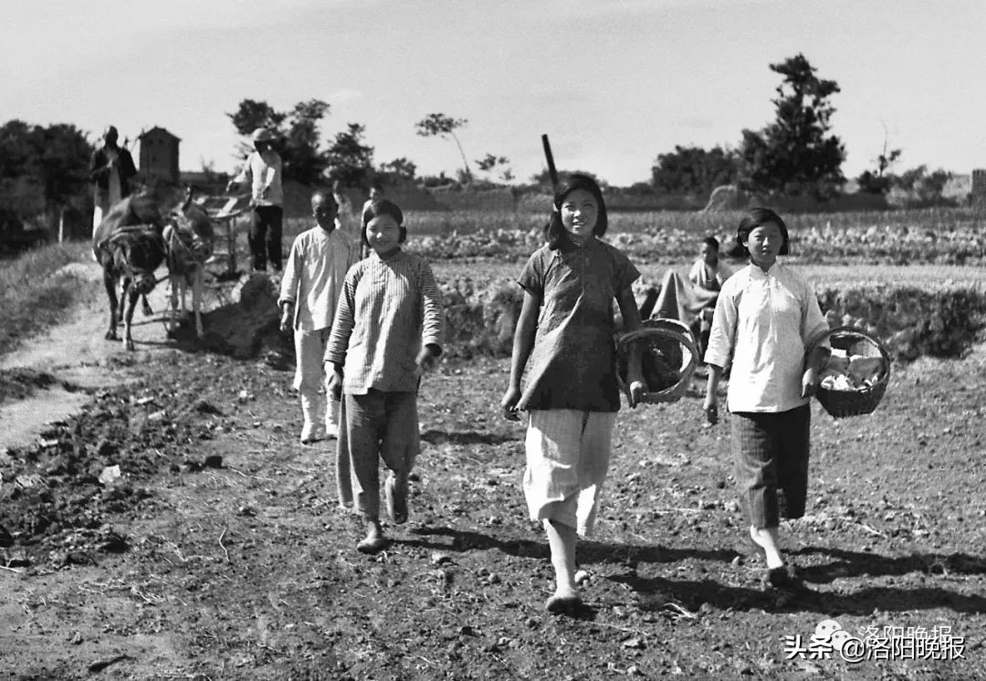 一分钟看河南洛阳,一日看遍洛阳