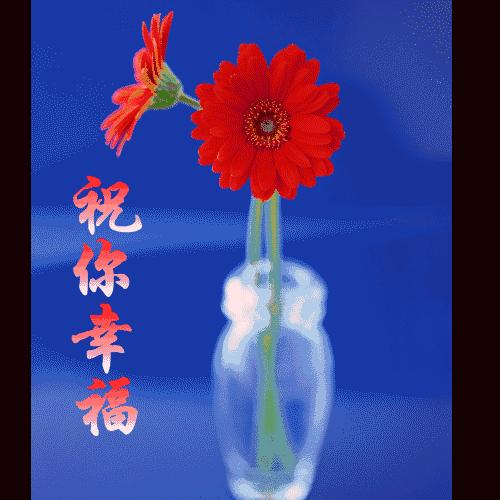 11月快乐我把祝福送给你高清图片,我把祝福送给你动态简谱