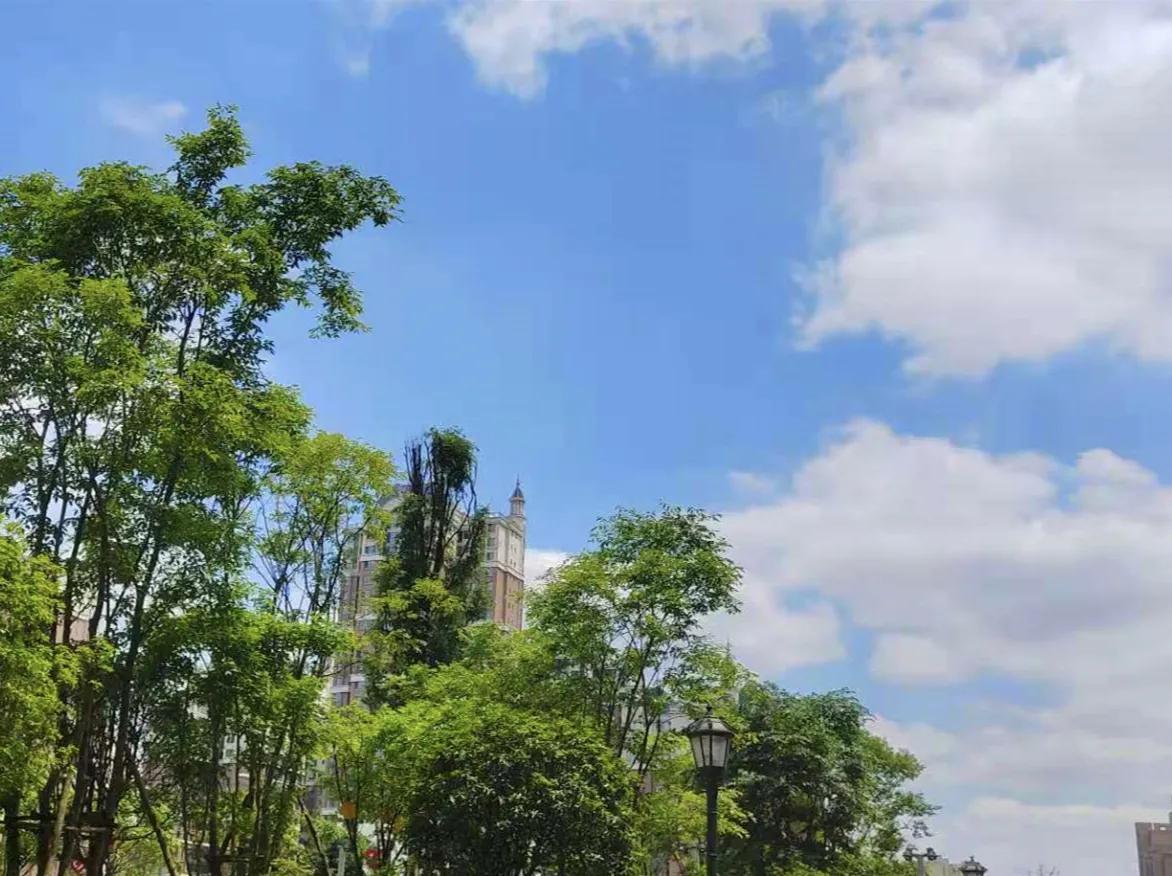 老公喜欢跟别的女人聊暧昧怎么办,老公喜欢和别的女人聊天怎么解决