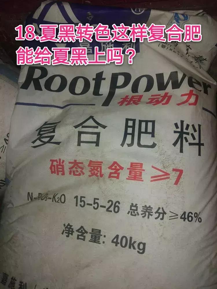 葡萄叶黄穗弱如何补救,葡萄矮小缺什么肥