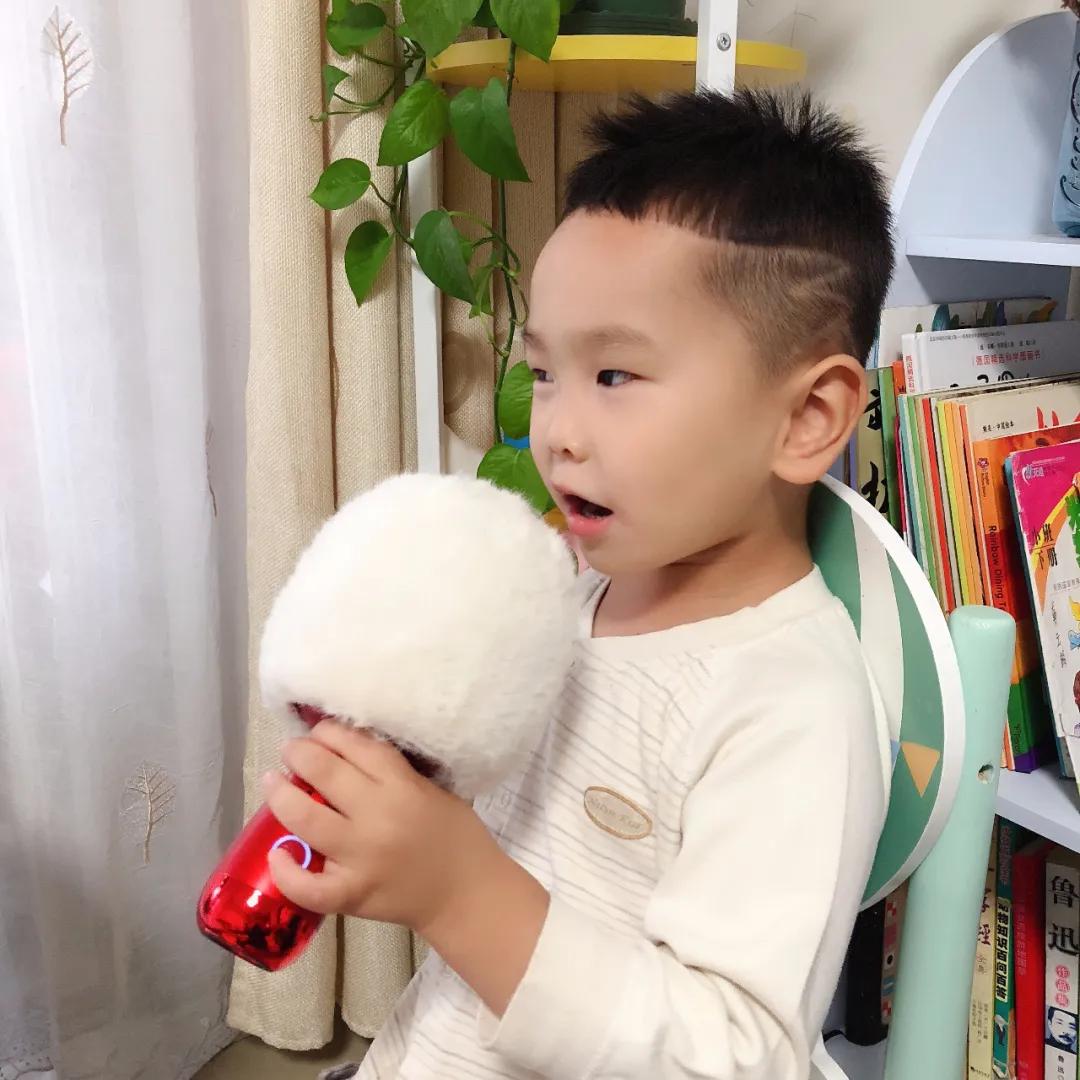 唱吧麦克风向往的生活,向往的生活同款唱吧麦克风