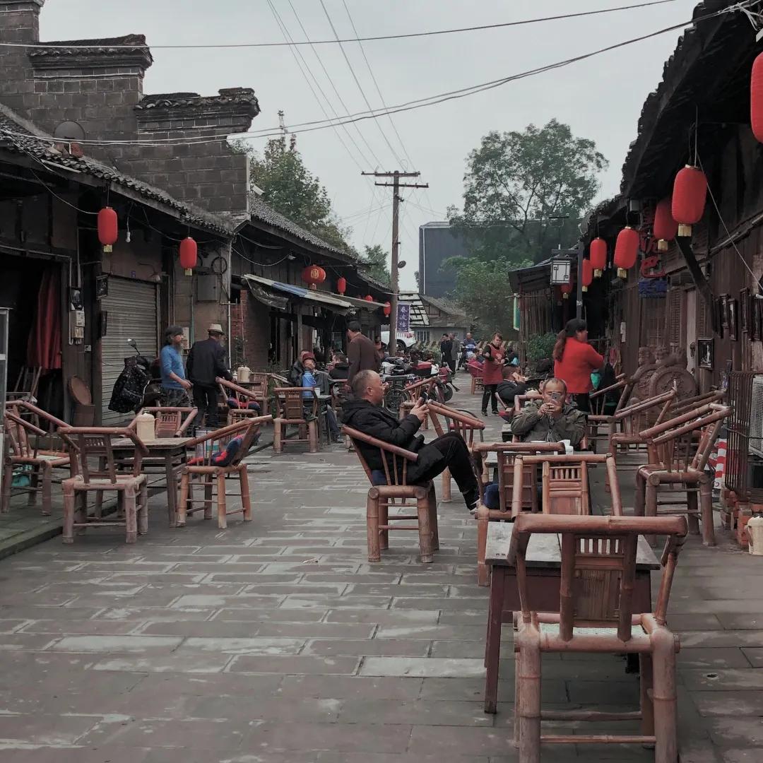 梦幻花园开园了！就在双流彭镇！免费的那种