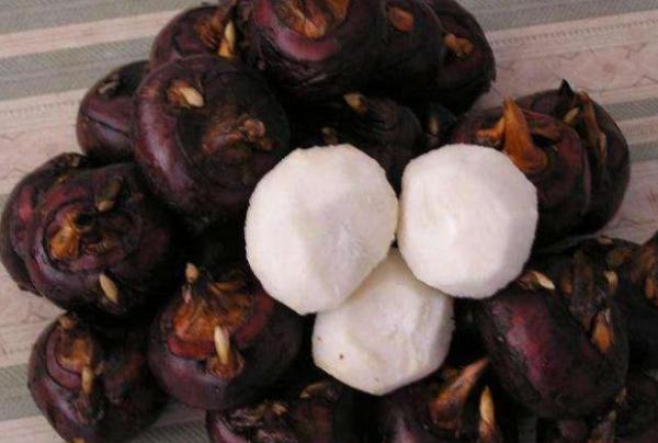 荸荠是生吃好还是煮熟了吃好,荸荠生吃和煮熟哪个更有营养