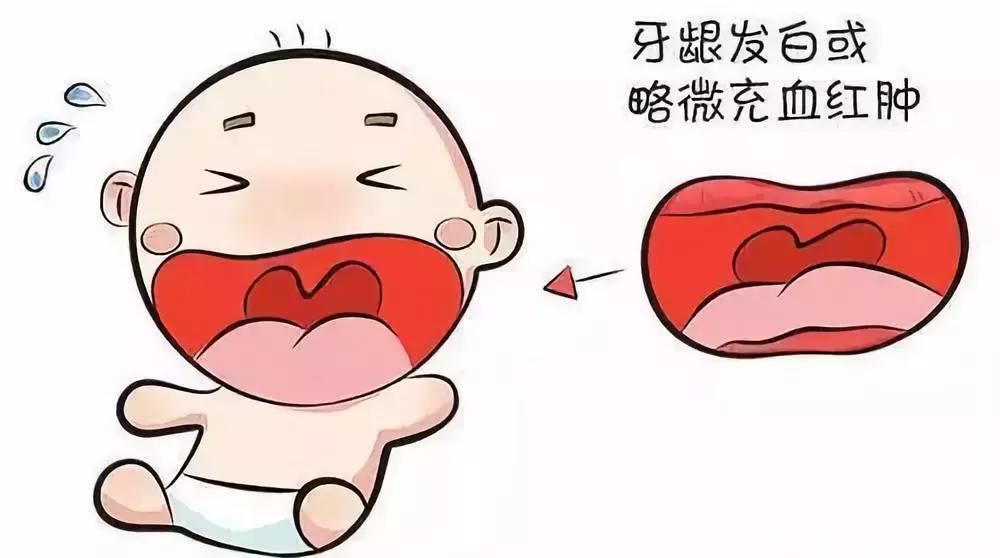 宝宝长牙期妈妈应该做什么,宝宝长牙时需要宝妈补什么