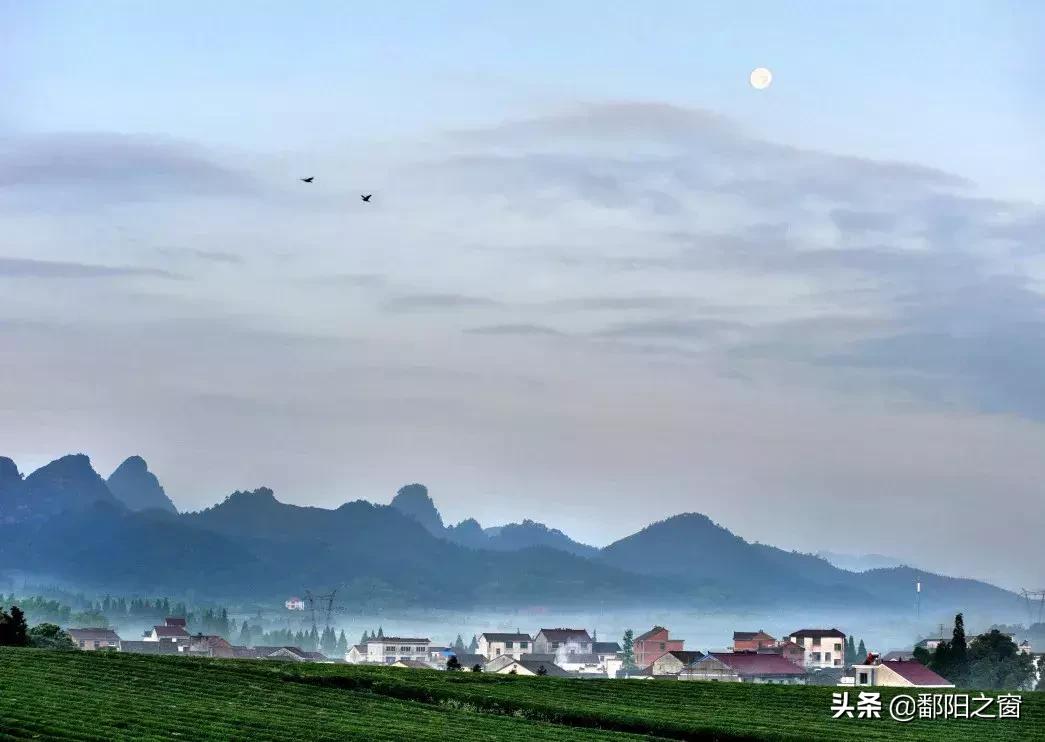 九峰山“春色”撩人丨不给你点颜色看看，你都不知道这里有多美！