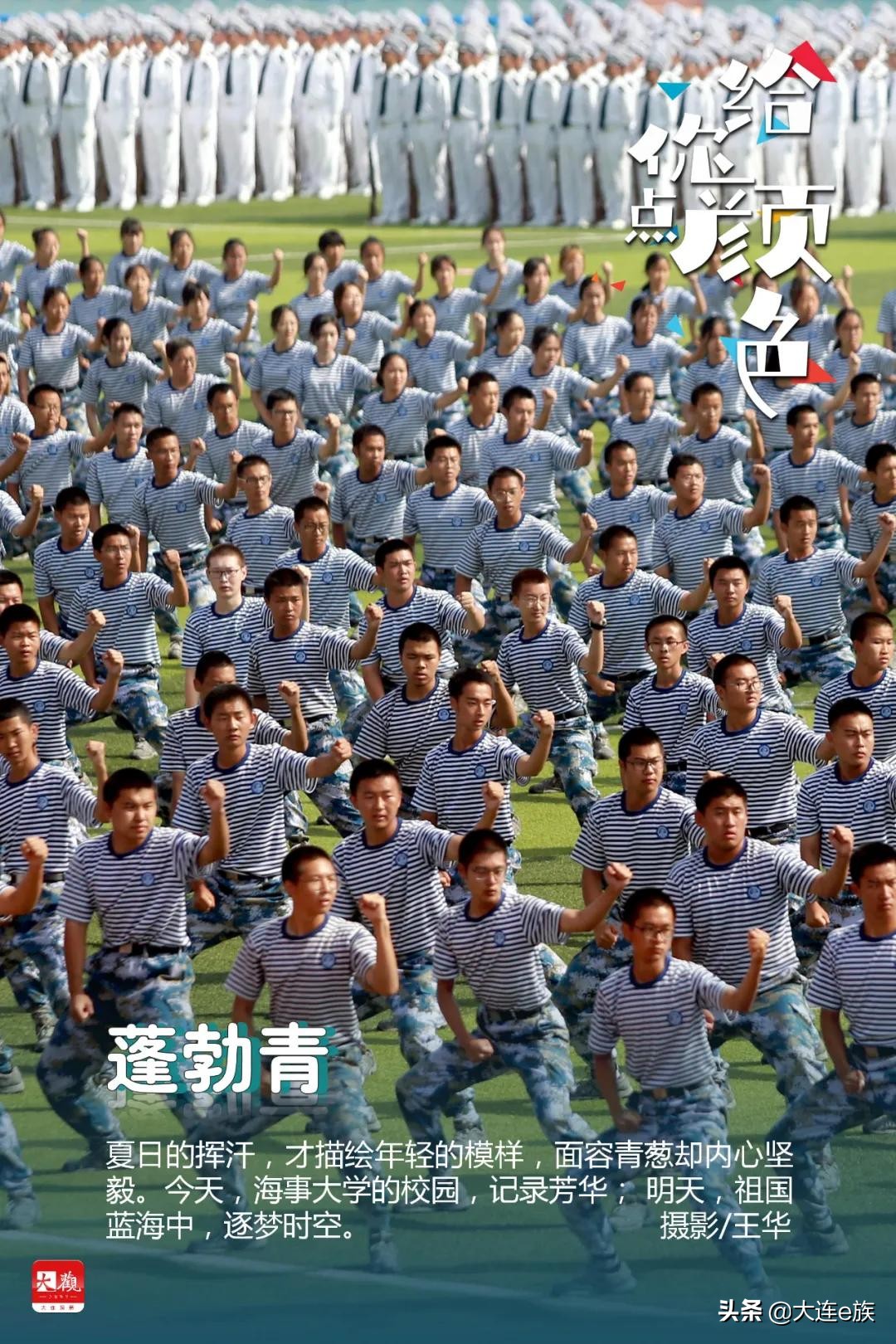 大连色卡,大连给貂皮改色