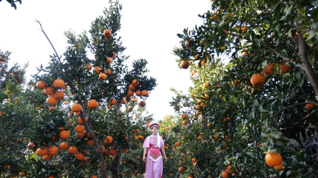 美丽云南第二季华宁,云南大理宾川县城全景