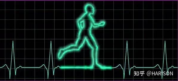 椭圆机和跑步机哪个更能锻炼,跑步机椭圆机动感单车哪个燃脂