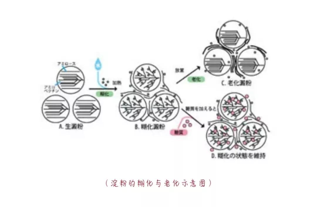 海藻糖和赤藓糖醇的区别,海藻糖和低聚果糖的区别