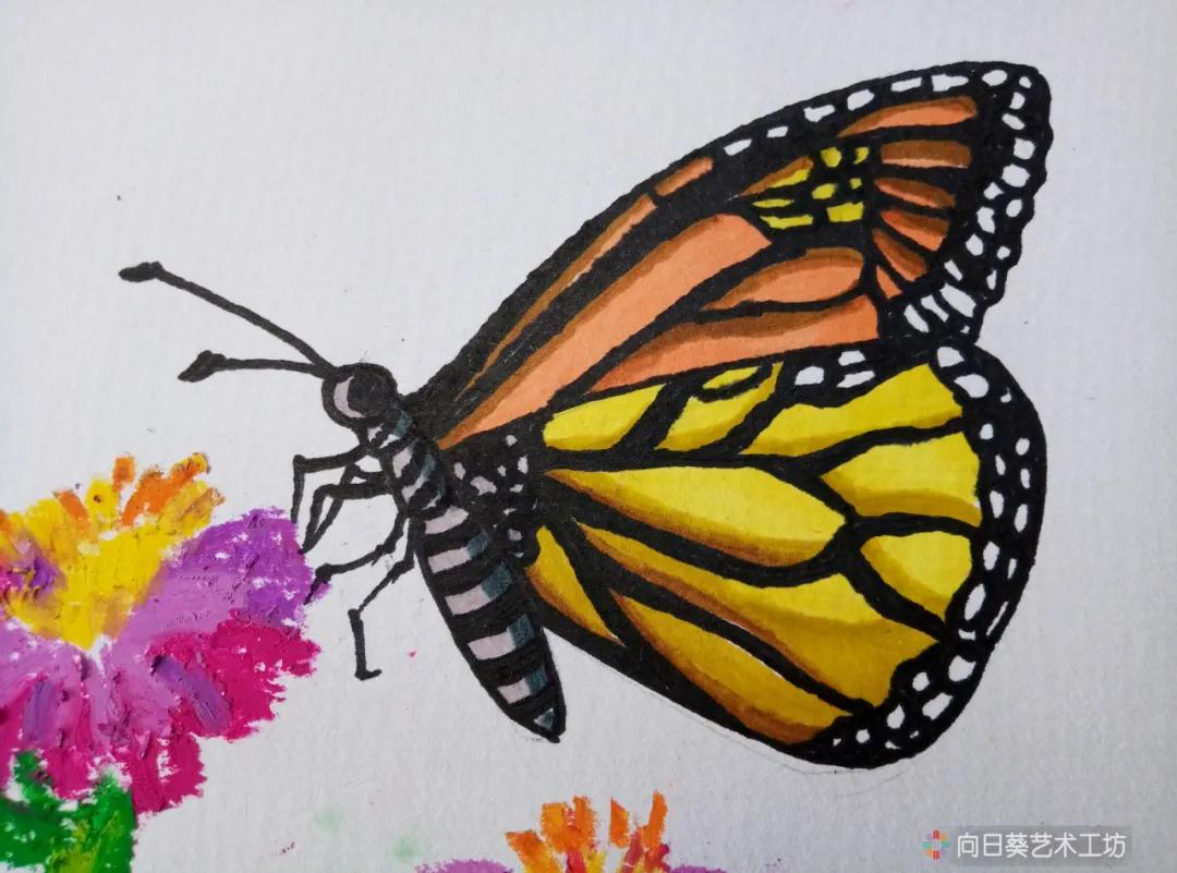 创意课漂亮的蝴蝶,创意美术课程蝴蝶
