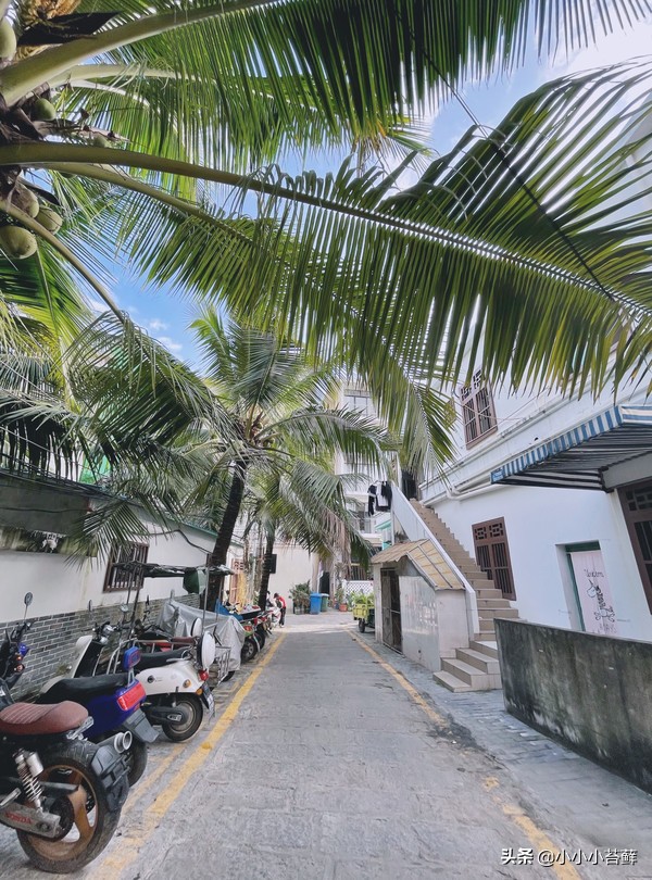 去三亚旅游吃住行全攻略,三亚吃住行