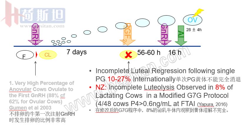 繁殖管理——使用双PG同期发情提高繁殖力