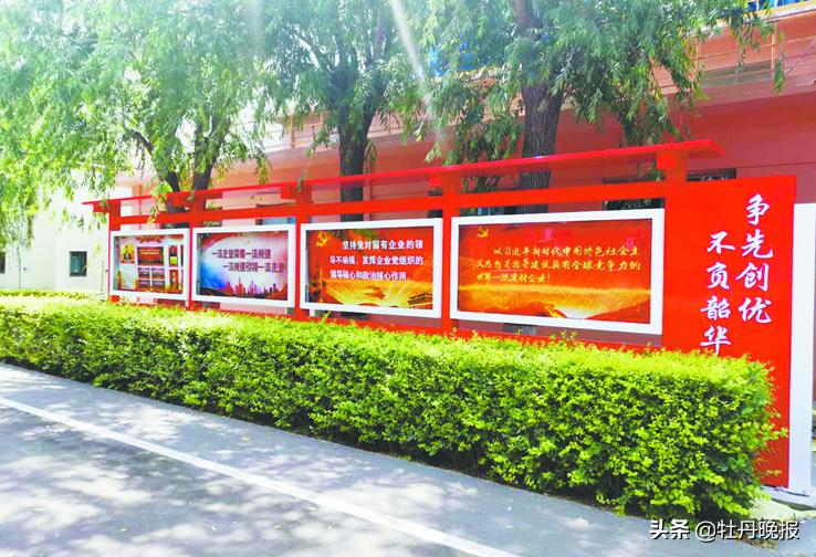 菏泽经济发展基础建设最新动向,菏泽中联水泥