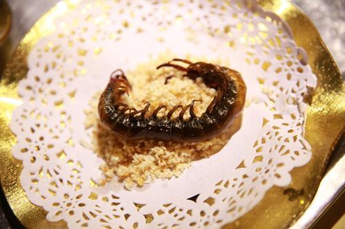 蜈蚣养殖方法和注意什么,蜈蚣怎么养