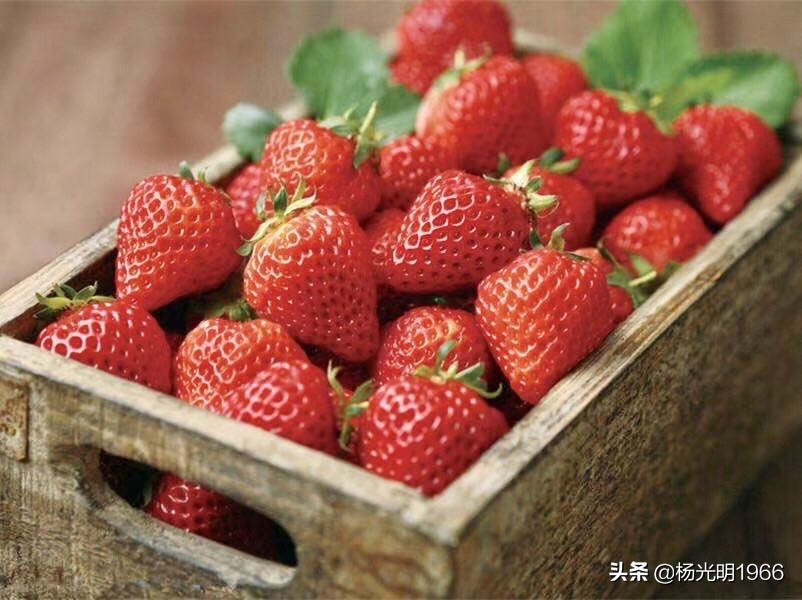 鍑噷鏀惰垂绔欏崠鑽夎帗 (鍑噷闄勮繎鐧借壊鑽夎帗)