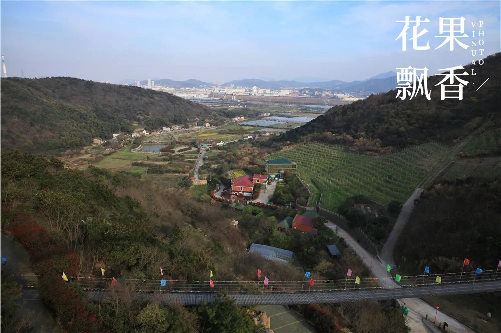 一个农村姑娘的创业经历,一个女农人的创业故事