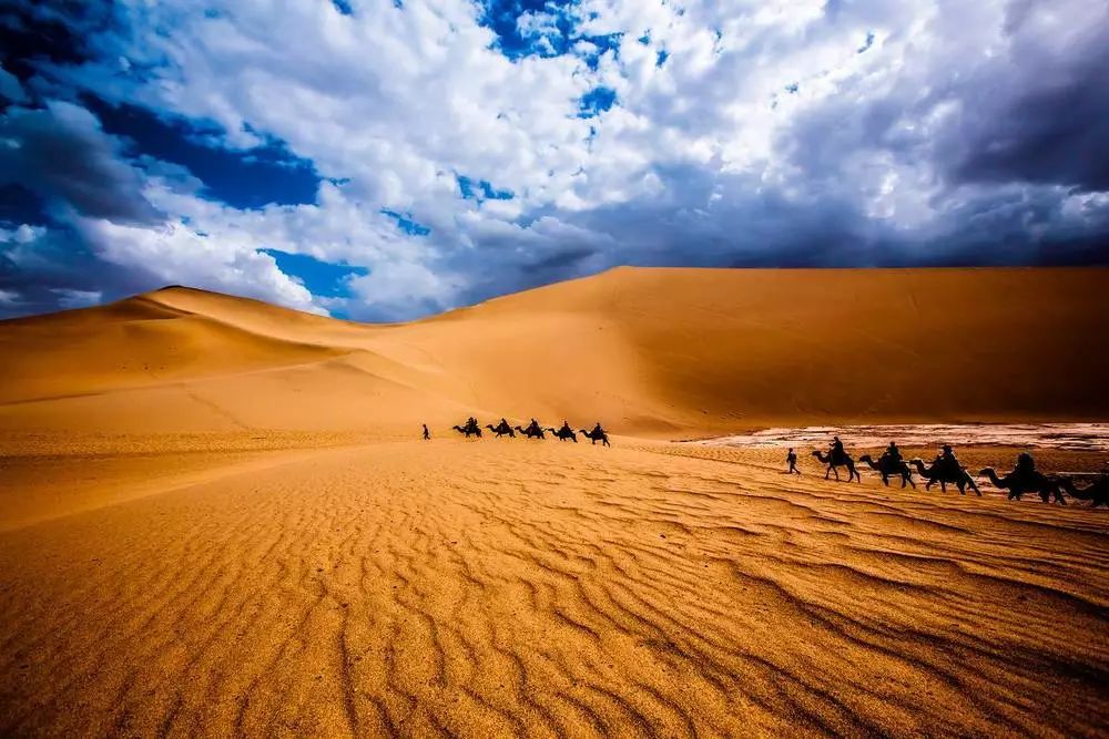 民勤骆驼客专卖店,民勤骆驼客演唱会