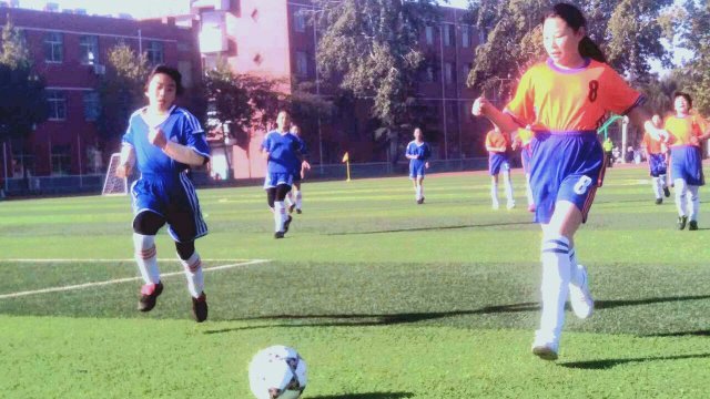 山东省政府表扬泰山俱乐部,泰安岱岳区校园足球