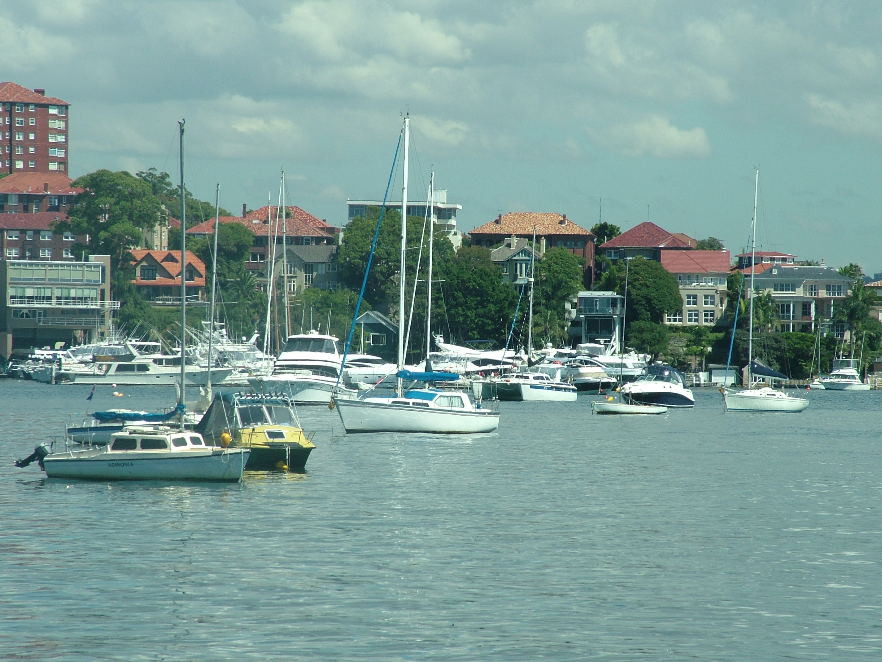 澳大利亚可以钓什么鱼,澳大利亚黄金海岸钓鱼
