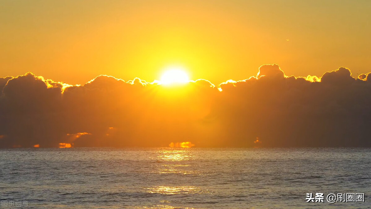 六年级作文一单元变形记范文,六上第一单元作文变形记优秀范文