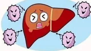 比乙肝厉害的肝病是什么,甲肝和乙肝丙肝的区别哪个危害大