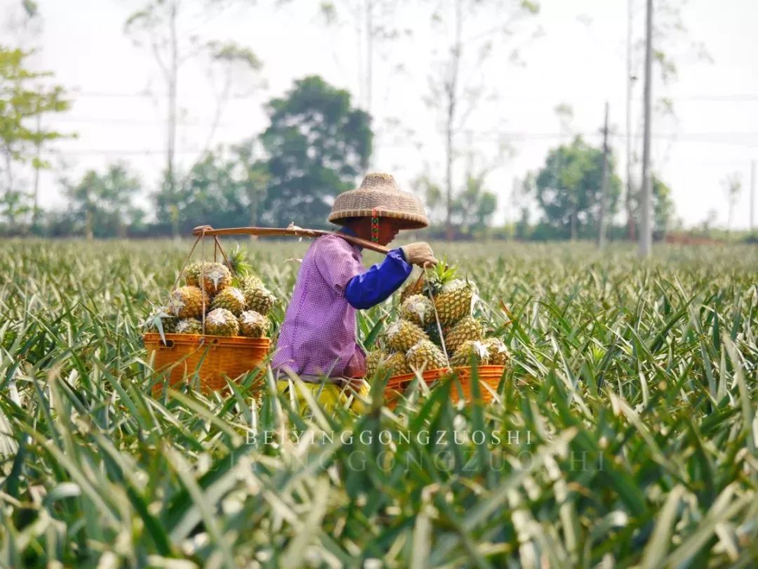 距海南仅20km，这个处女地比台湾风情、比三亚便宜，你错过了吗？