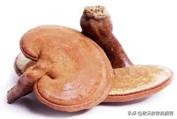 日本人长寿健康的秘诀,日本人长寿的秘诀纳豆