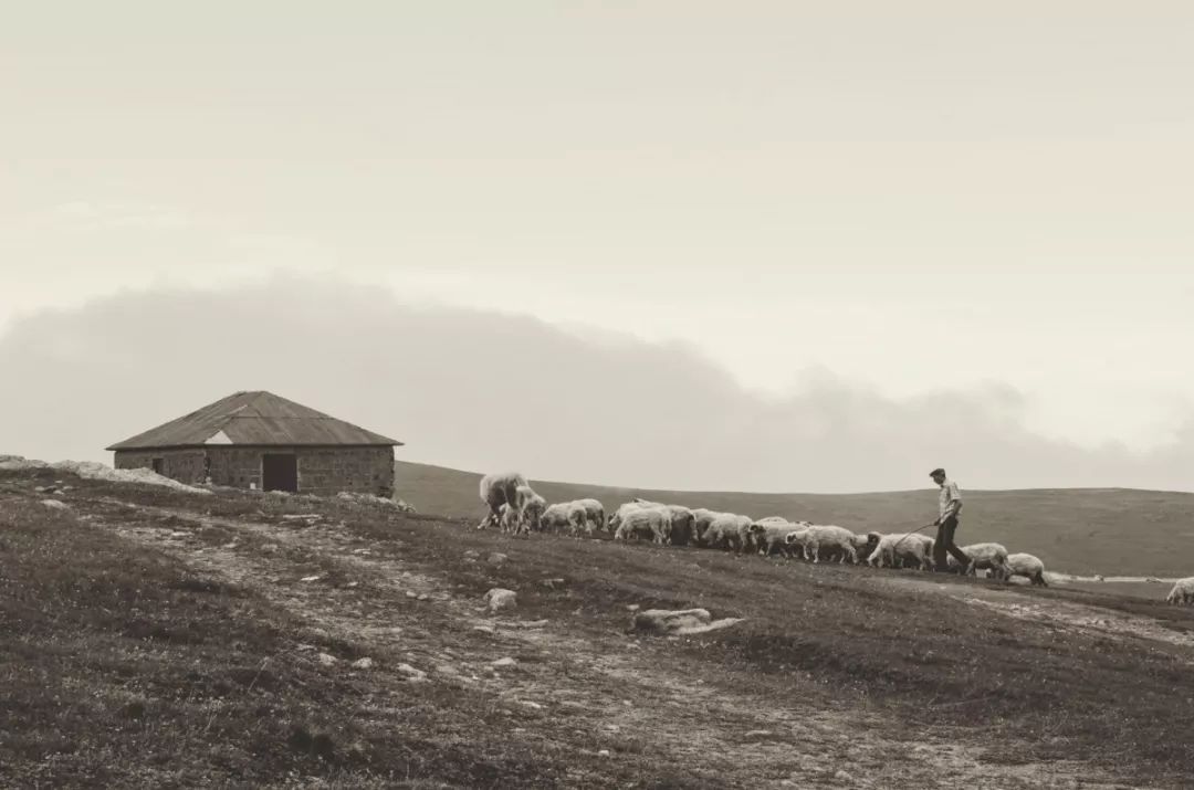 摄影小白适合拍什么,摄影小白拍人像用什么好