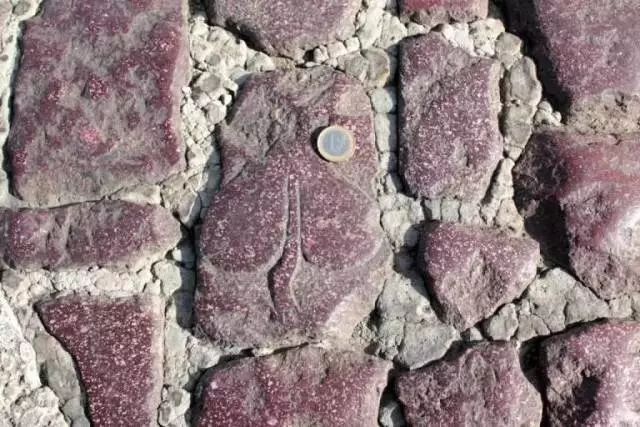 这些秘密你知道吗,这些秘密