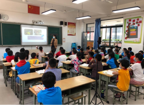 班主任坦言小学语文无非就是内容,班主任评价学生的特点