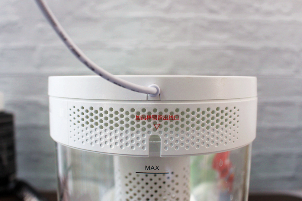 养鱼日记森森鱼缸,水族箱造景养鱼日记