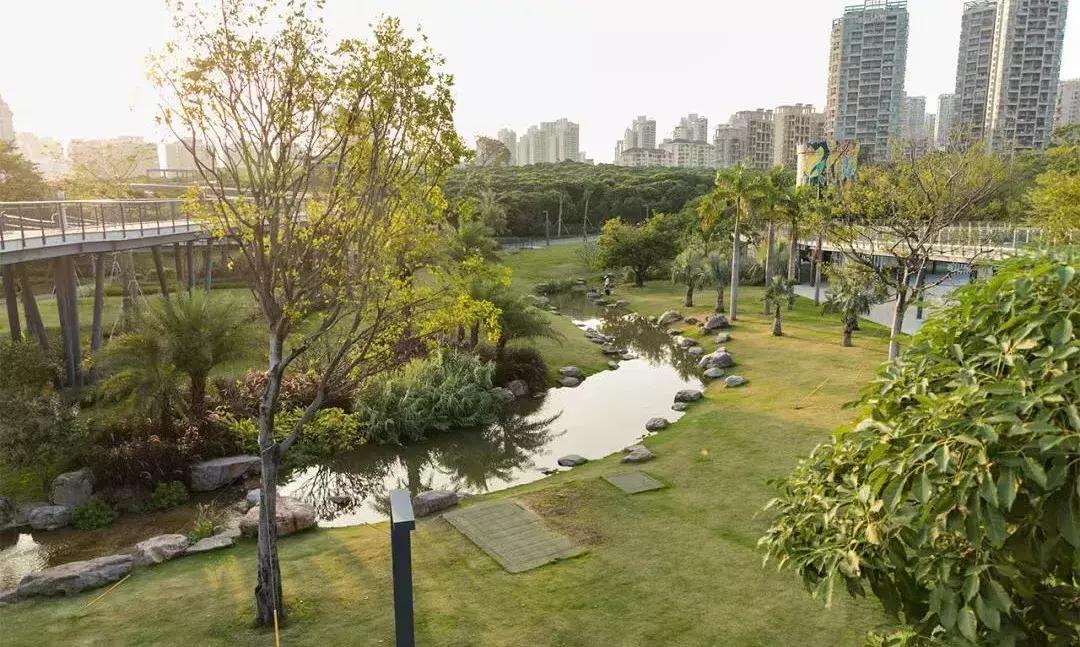 福田大地的变化,福田中心区变化