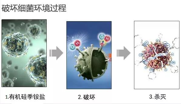汗脚必入鞋袜除臭喷雾,除脚味鞋袜喷雾