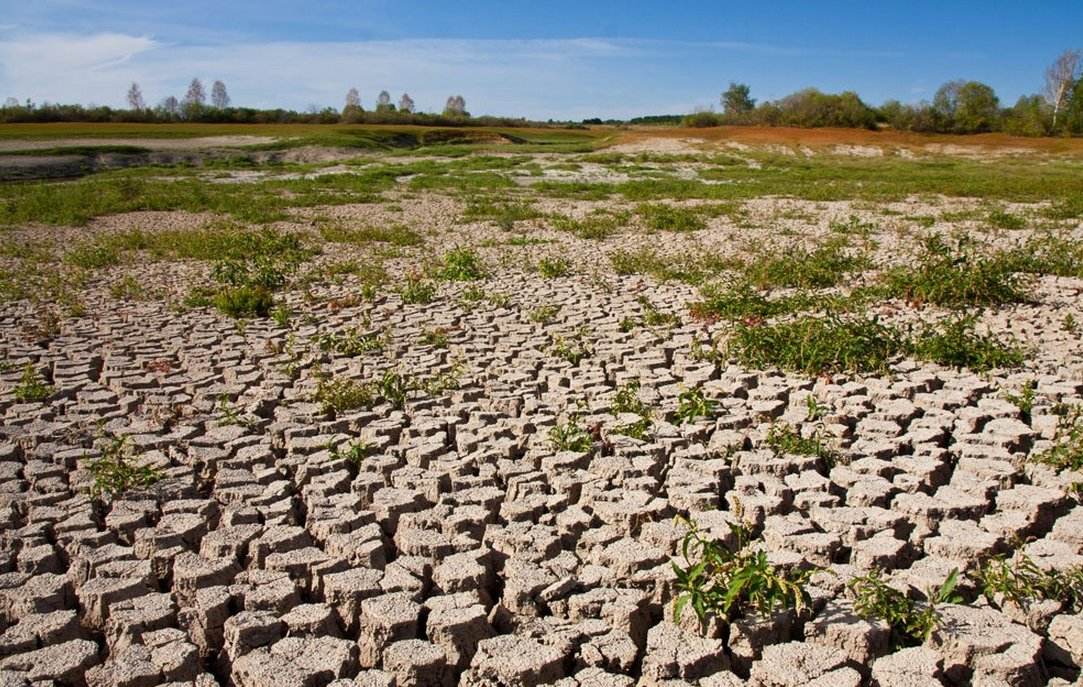古代到底有多冷,古代多冷