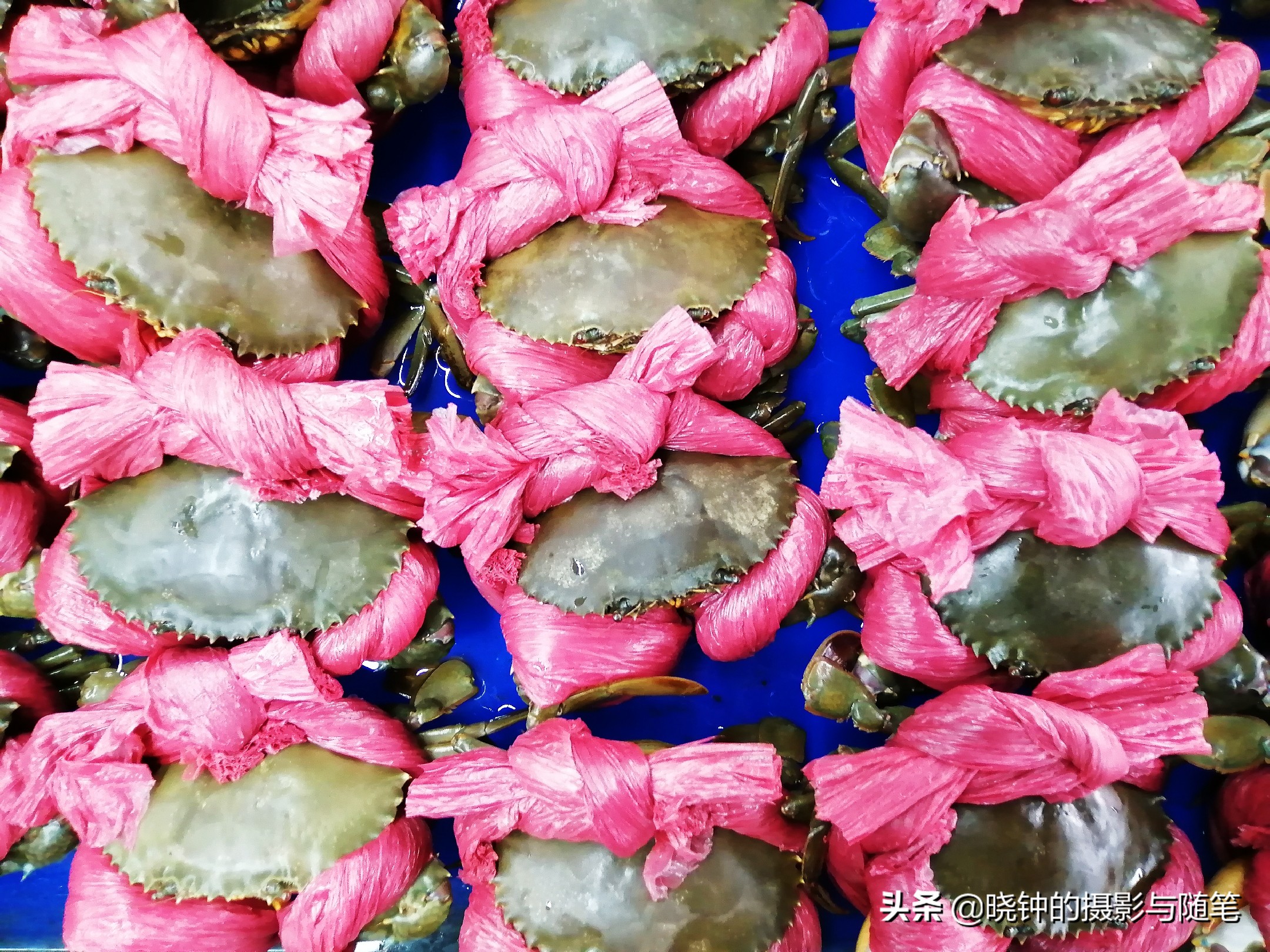 去越南看看他们吃的是什么,越南岘港海鲜价格