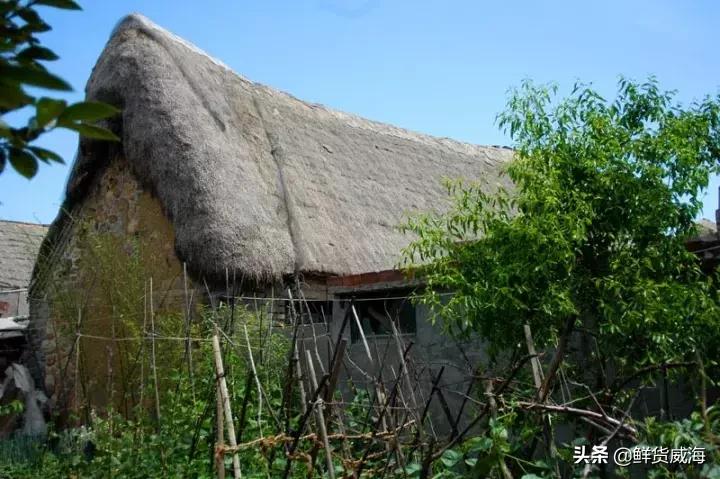 威海初一免费景点,威海五一免费门票景点