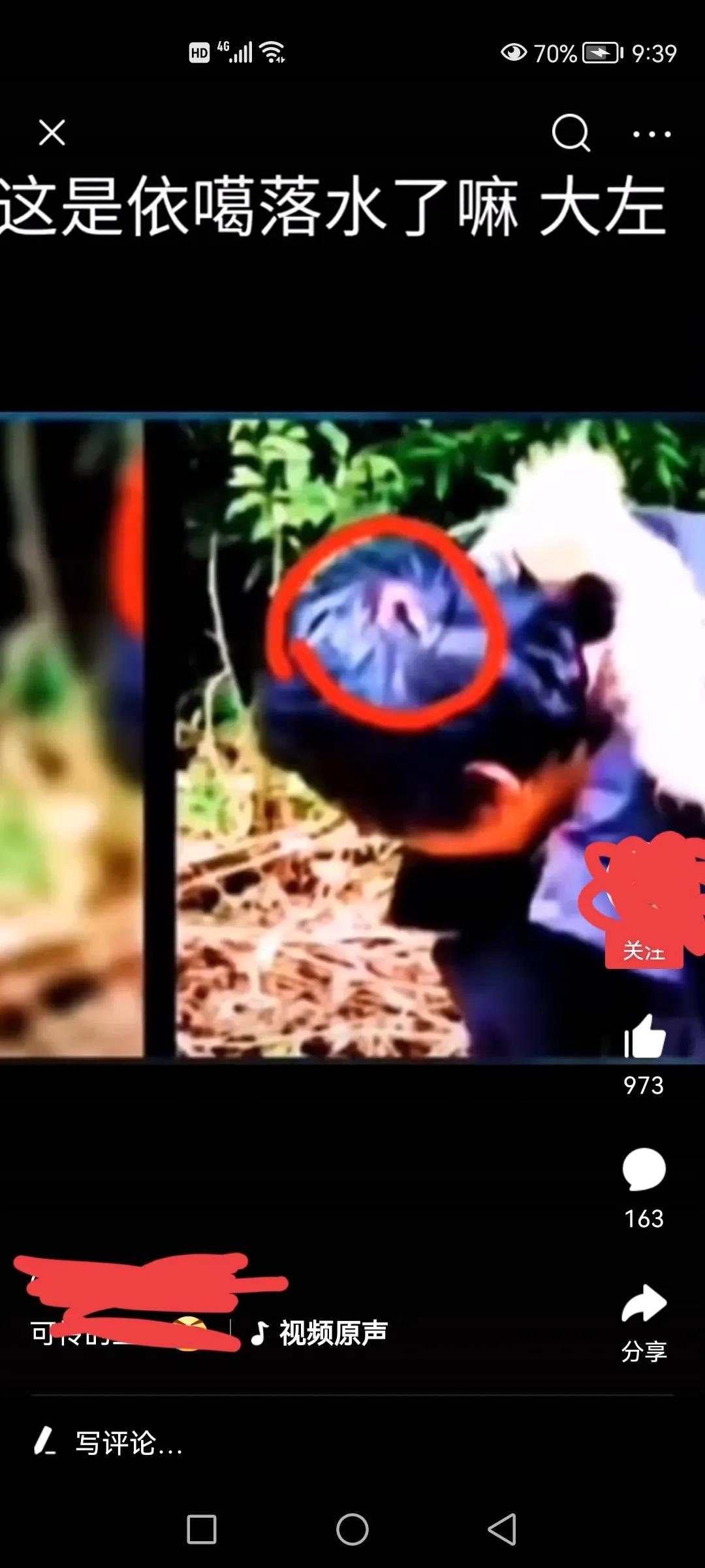 我们心目中的真正的英雄,一个真正的英雄要承受哪些痛苦