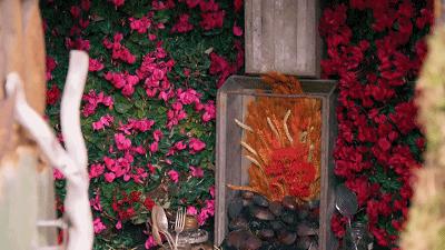 这也能拍出花?网飞又开挂了,每集都让我惊掉下巴