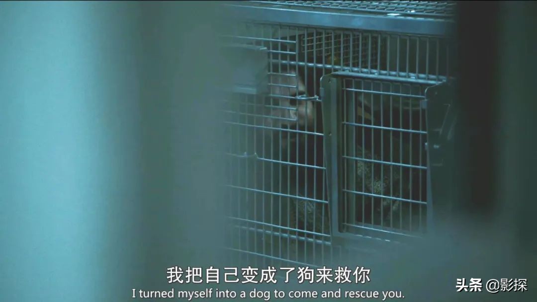 9.1，冲着限制级刷剧，却被它的沙雕给征服