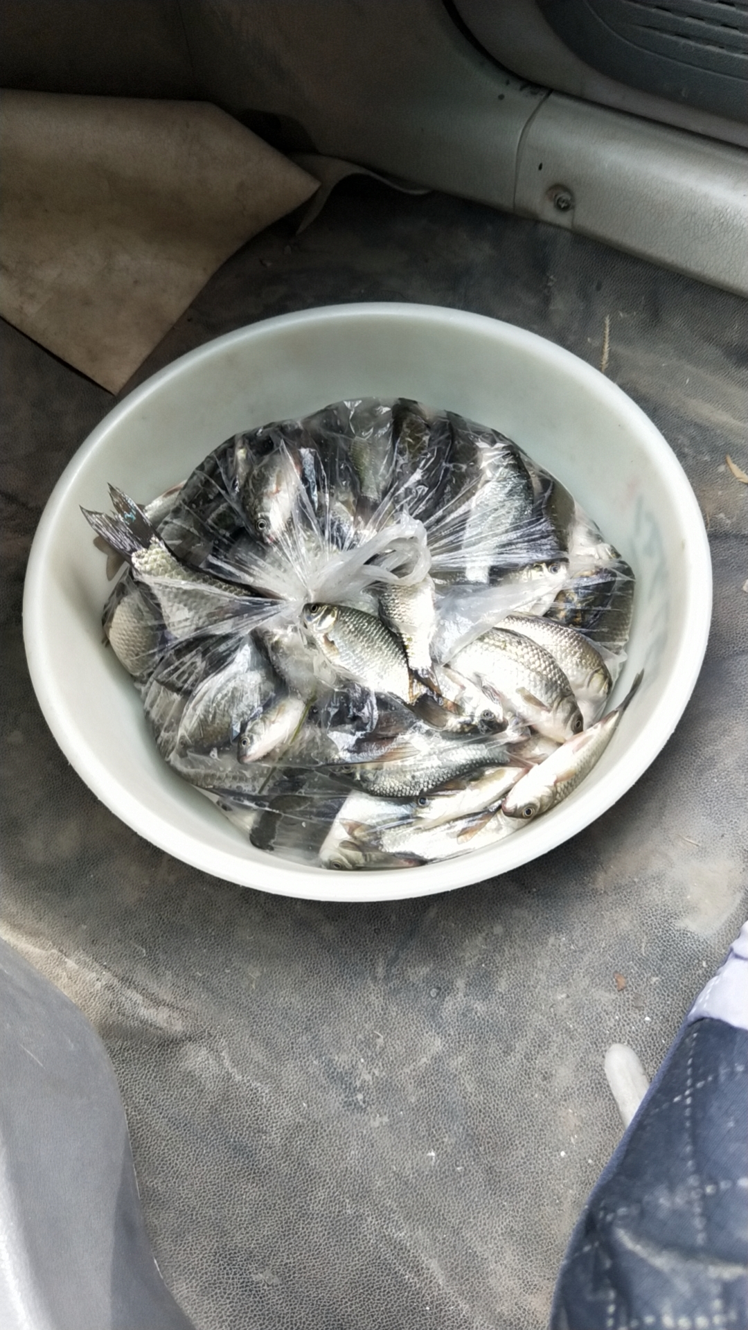 钓鱼人的三从四德,钓鱼人的新三从四德