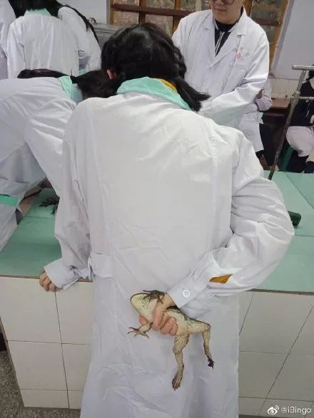 西安三大巨头,西安三巨头学校